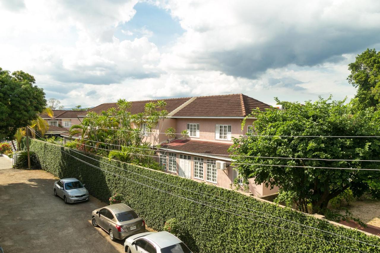 Choose To Be Happy At Seymour # 9 And #16 - Studio Apartments Kingston Ngoại thất bức ảnh