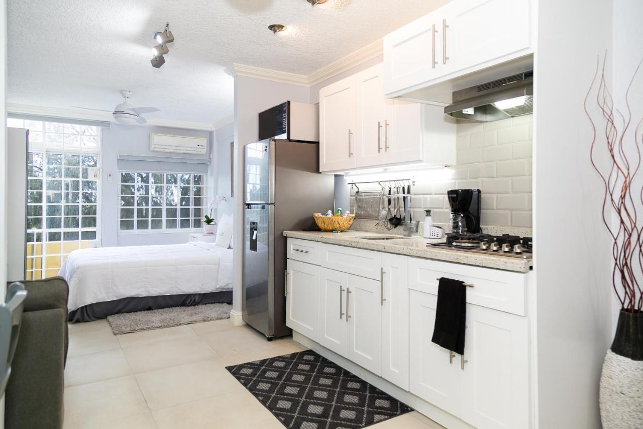 Choose To Be Happy At Seymour # 9 And #16 - Studio Apartments Kingston Ngoại thất bức ảnh